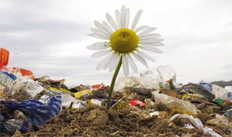 Боклук в природата - Ползи от рециклирането на метали | Nord Holding AD