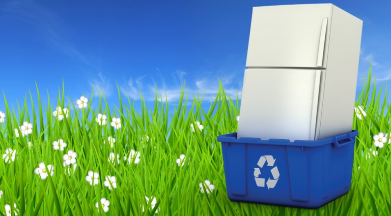 Recycling of refrigerators and the environment