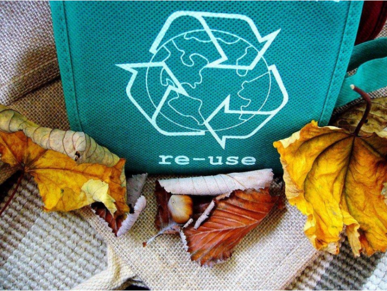 Как се рециклират пестициди, хербициди, инсектициди и изкуствени торове и какви е влиянието им върху околната среда