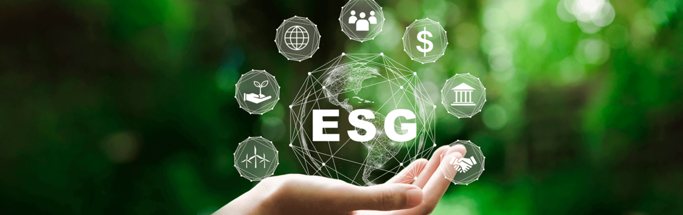 ESG: Еnvironmental, Social and Governance
